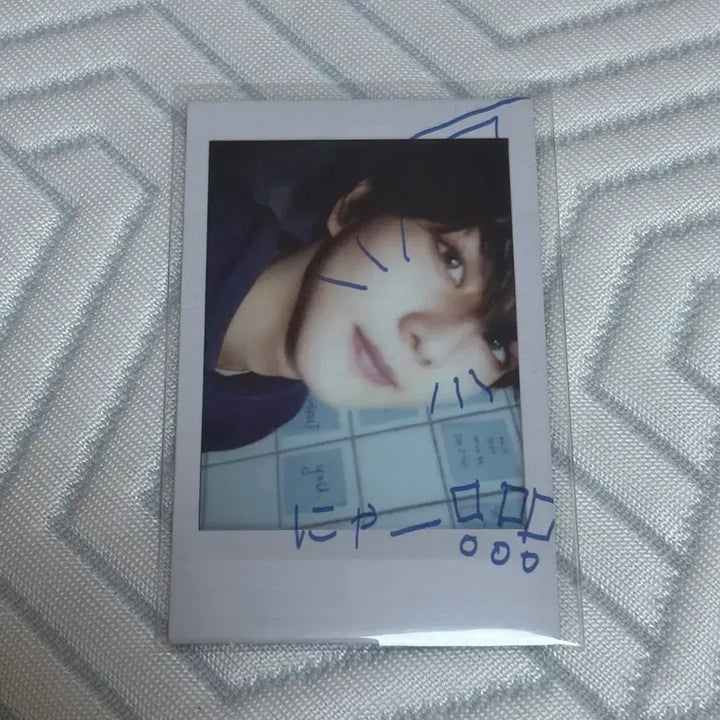 [BUNJANG] Enhypen Daydream Japanese Garden Polaroid / 엔하이픈 데이드림 일본 정원 폴라로이드