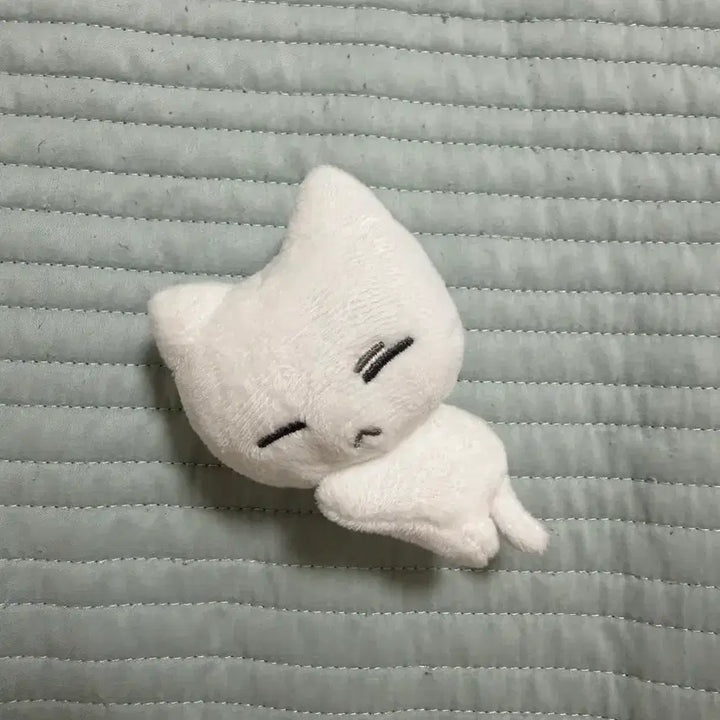 [BUNJANG] BOYNEXTDOOR Nupinyang Plush / 보넥도 눕삐냥