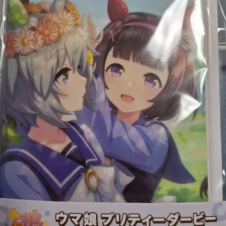[BUNJANG] Umamusume Seiun Sky Acrylic Stand / 우마무스메 세이운 스카이 굿즈- 아크릴 스탠드