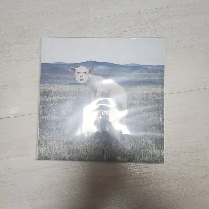 [BUNJANG] Thornapple Animal LP Vinyl / 쏜애플 동물 lp