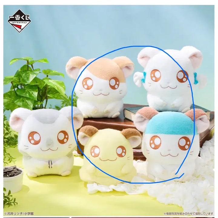 [BUNJANG] Hamtaro Lottery Ichiban Kuji Sealed Bundle Set (Grades B, C, E, F) / 미개봉 4종 일괄 햄토리 쿠지 B상 C상 E상 F상