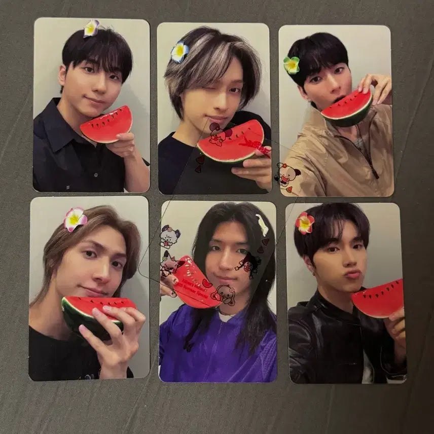 [BUNJANG] AKZ 1st Concert Entry Photocard Set / 엑디즈 썸콘 첫콘 입장포카 세트