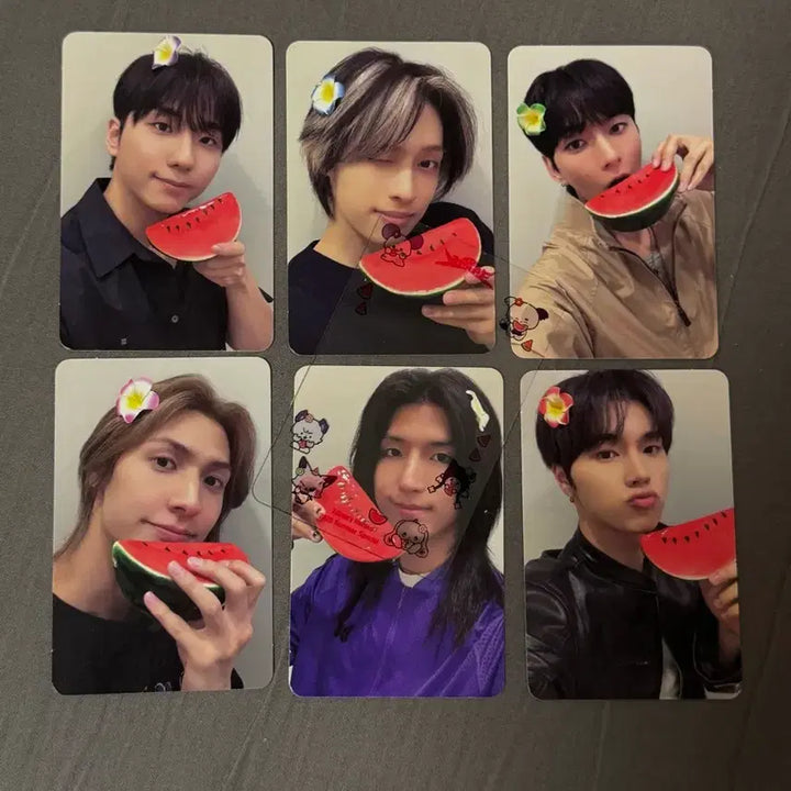 [BUNJANG] AKZ 1st Concert Entry Photocard Set / 엑디즈 썸콘 첫콘 입장포카 세트