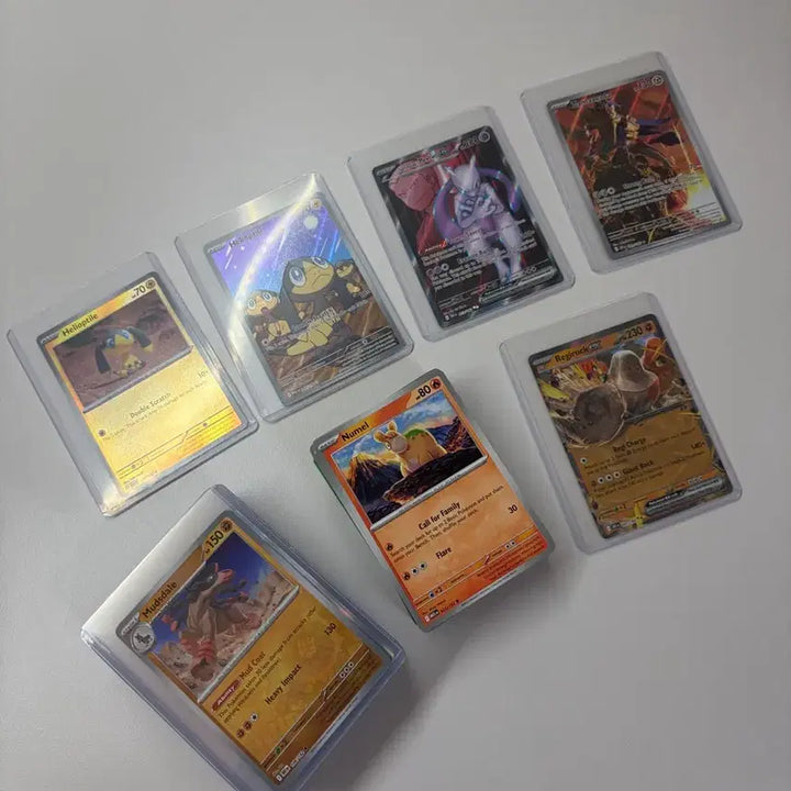 [BUNJANG] Pokémon Trading Cards (North American Version) / 북미판 포켓몬 카드