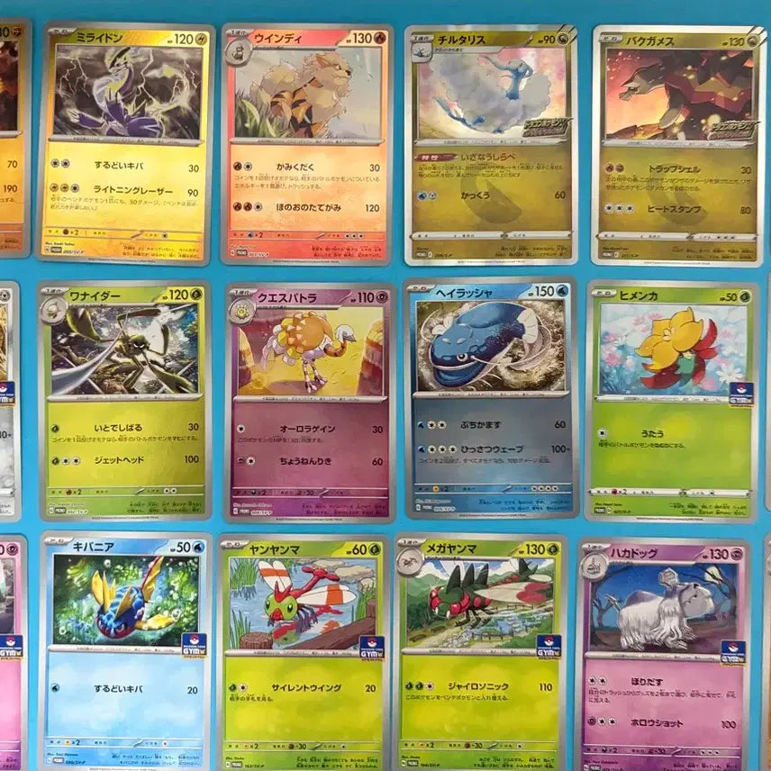[BUNJANG] Pokemon Card Japanese GYM Promo Set / 포켓몬카드 일판 GYM 프로모 세트 팝니다
