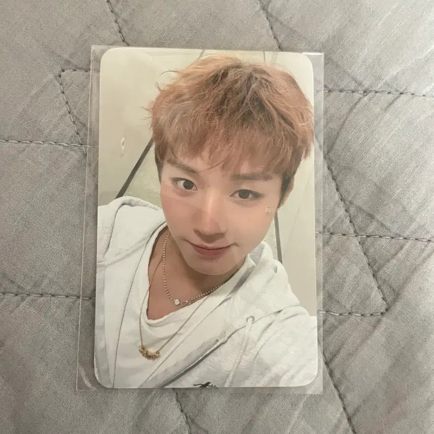 [BUNJANG] Park Ji Hoon Fancon MD Photocard / 박지훈 팬콘 엠디 포카