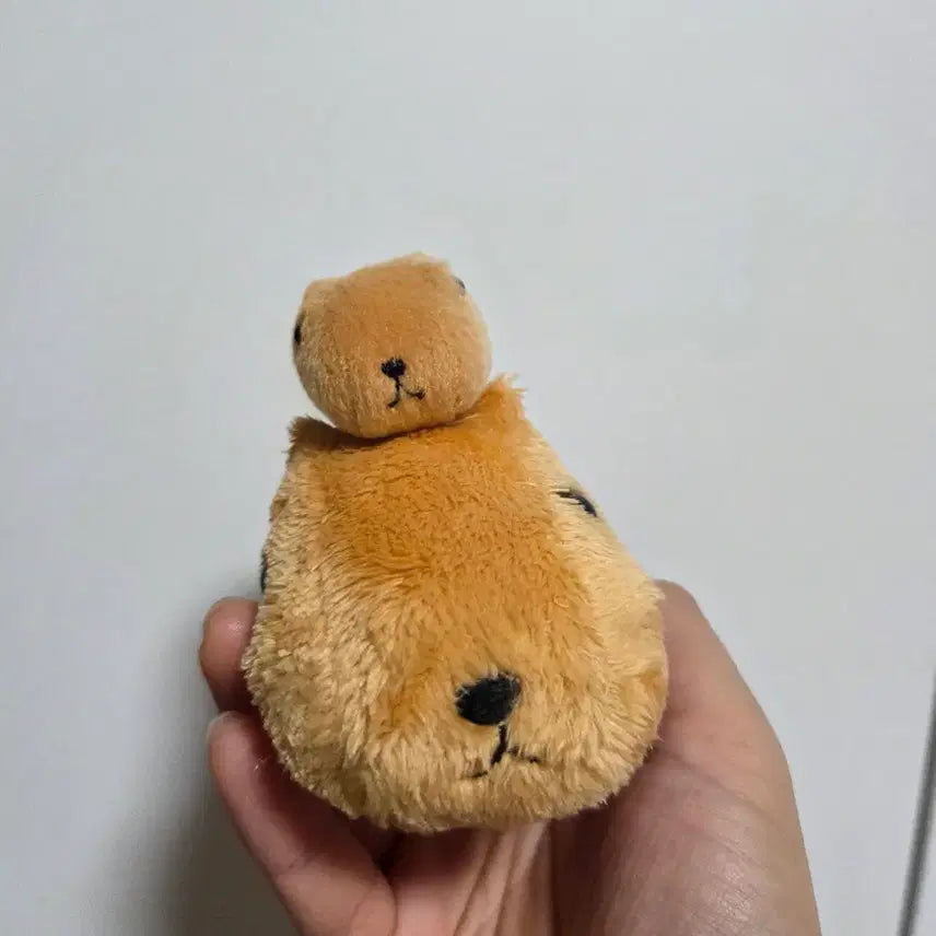 [BUNJANG] Vintage Toy Character Goods Classic Cartoon Doll San-X Kappabara-san Minimi / 빈티지 토이 캐릭터 굿즈 고전 만화 인형 산엑스 카피바라상 미니미랑 아기