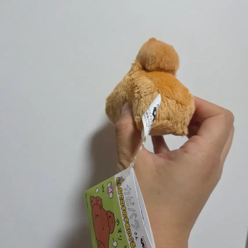 [BUNJANG] Vintage Toy Character Goods Classic Cartoon Doll San-X Kappabara-san Minimi / 빈티지 토이 캐릭터 굿즈 고전 만화 인형 산엑스 카피바라상 미니미랑 아기
