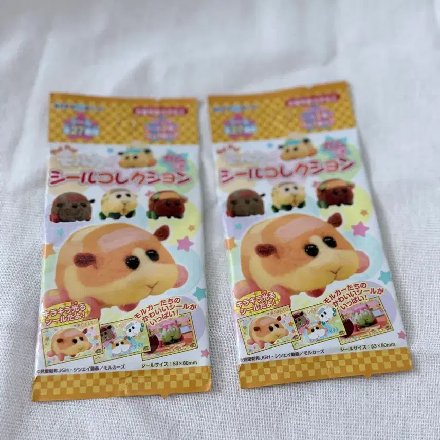 [BUNJANG] Moruka Card Set / 모루카 카드 세트
