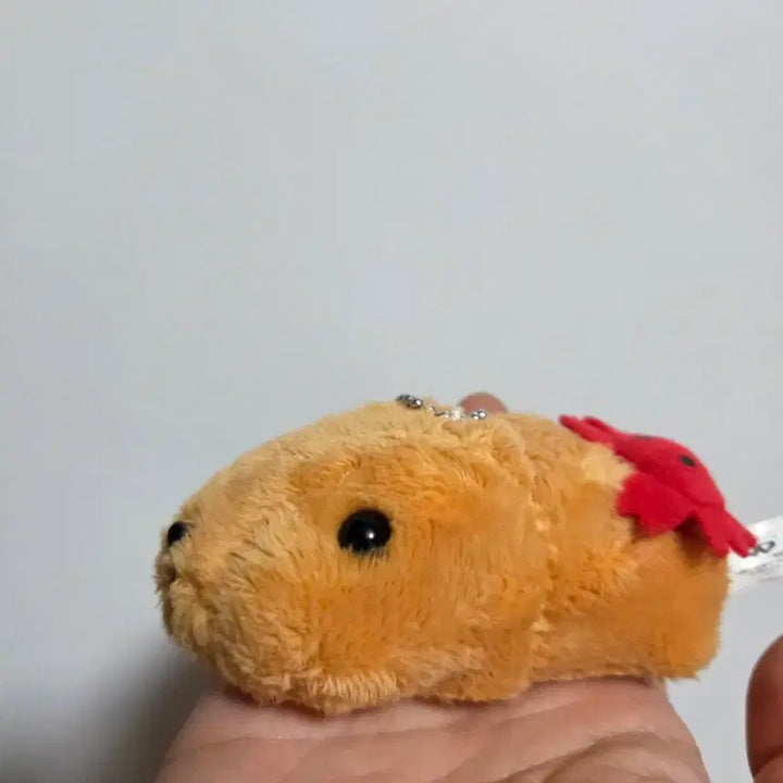 [BUNJANG] Vintage San-X Kappabara-san Crab Keychain - Classic Cartoon Doll / 빈티지 토이 캐릭터 굿즈 고전 만화 인형 산엑스 카피바라상 꽃게 키링