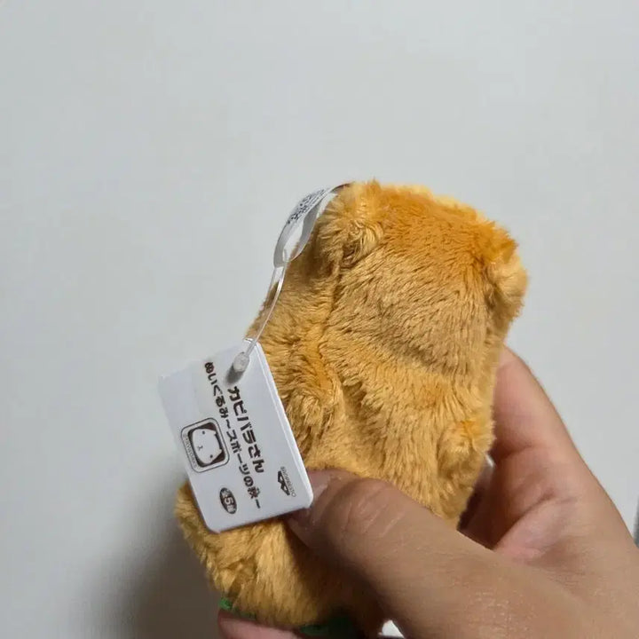 [BUNJANG] Vintage San-X Kappabara-san Festival Character Goods / 빈티지 토이 캐릭터 굿즈 고전 만화 인형 산엑스 카피바라상 축제
