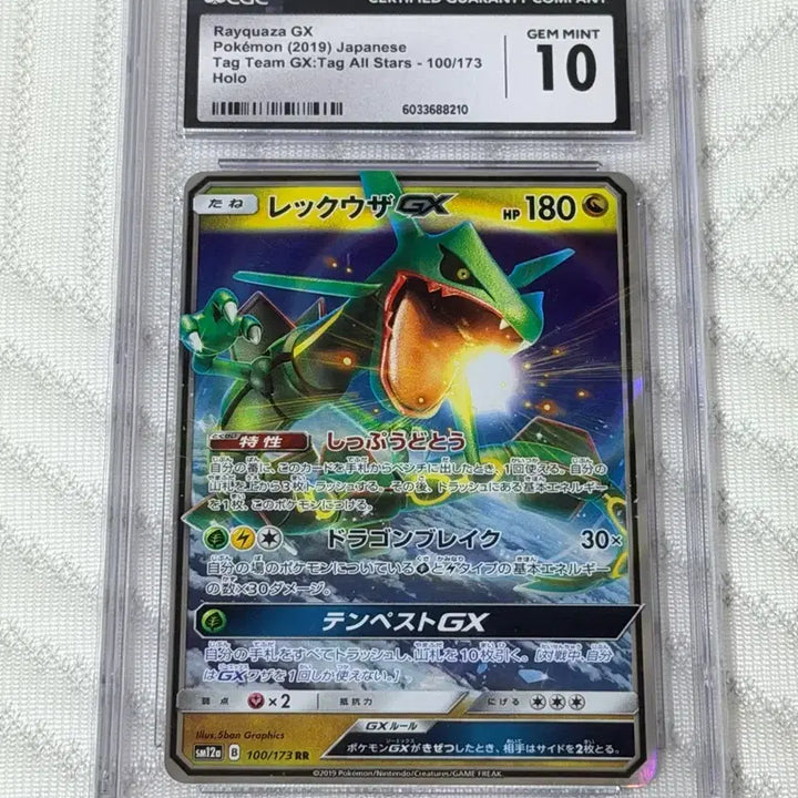 [BUNJANG] Premium Graded Pokémon Cards (Japanese Edition) / (일판) 등급카드 시세보다 확연이 싸게 팝니다 - 내용 필수