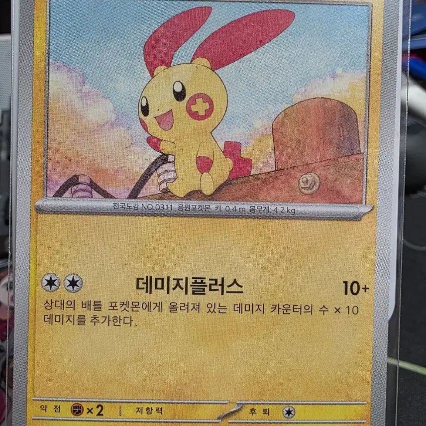 [BUNJANG] Pokemon Card Plushie 014/062 / 포켓몬 카드 플러시 014/062