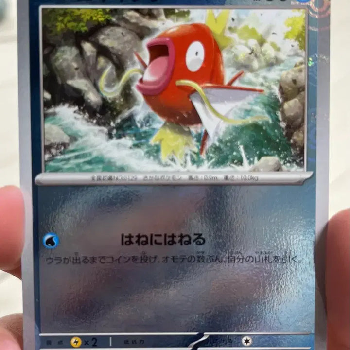 [BUNJANG] Pokemon Card Magikarp &amp; Gyarados Monster Ball Bundle Set (Japanese) / 포켓몬카드 일판 잉어킹과 갸라도스 몬스터볼 일괄