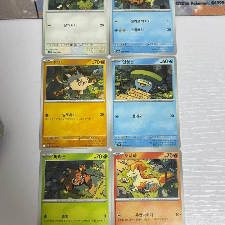 [BUNJANG] Pokemon Card Illustration Set 2 / [귀여운 포켓몬카드] 이어지는 일러스트 세트2