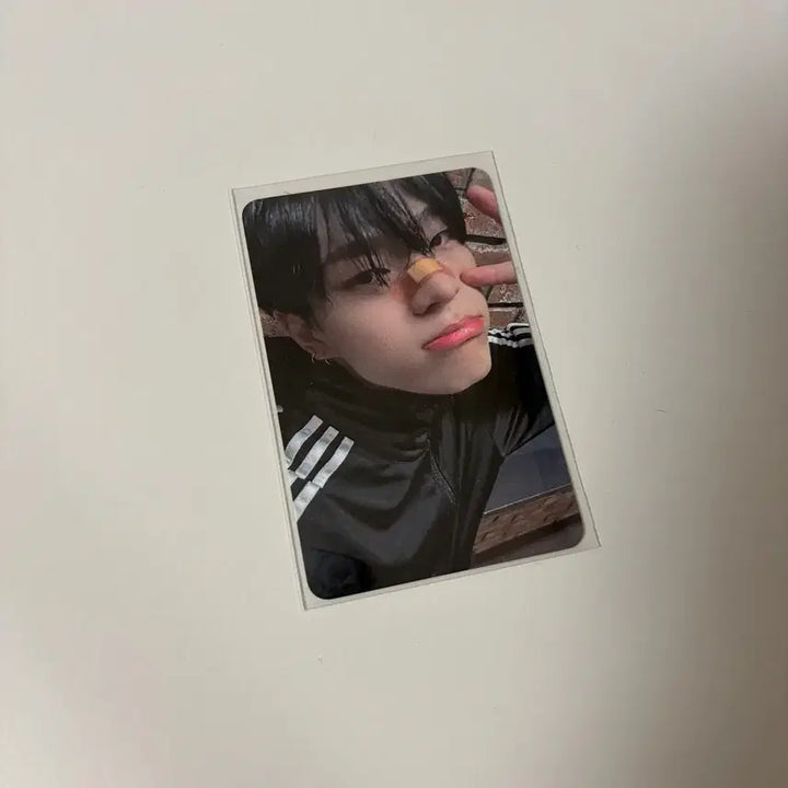 [BUNJANG] Huih Kim Junmin Photocard / 휘브 김준민 포토카드 포카 양도