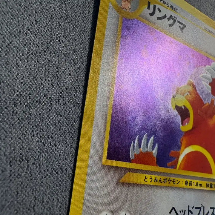 [BUNJANG] 2000 Vintage Pokemon Card Ursaring / 2000 빈티지 포켓몬 카드 링곰