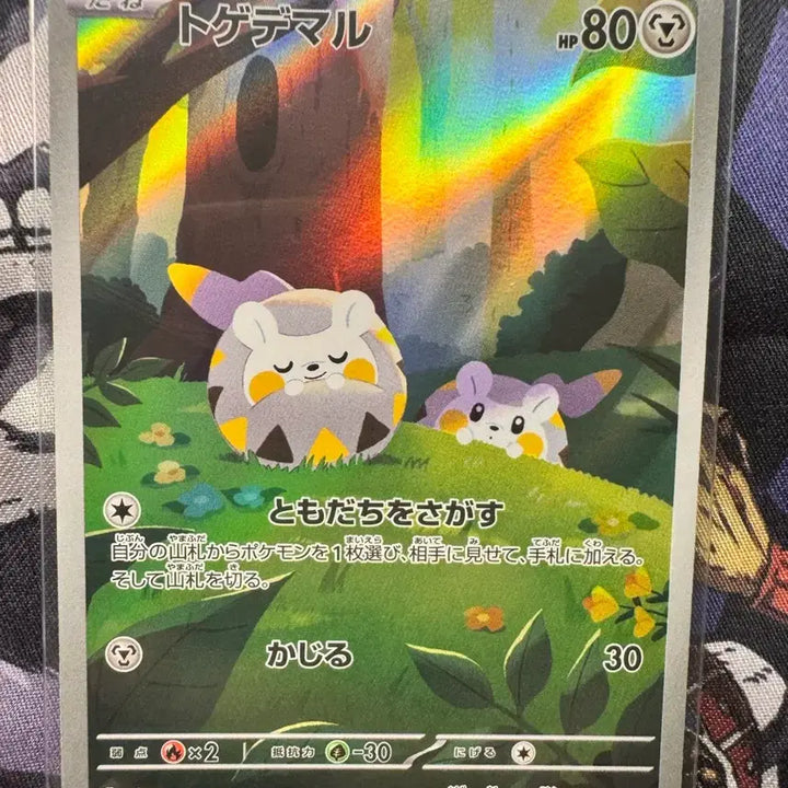 [BUNJANG] Pokemon Card Assortment / 개별가능,일판) 춤추새 ex sar,메가곤율거니ex MA,외 ar 6장