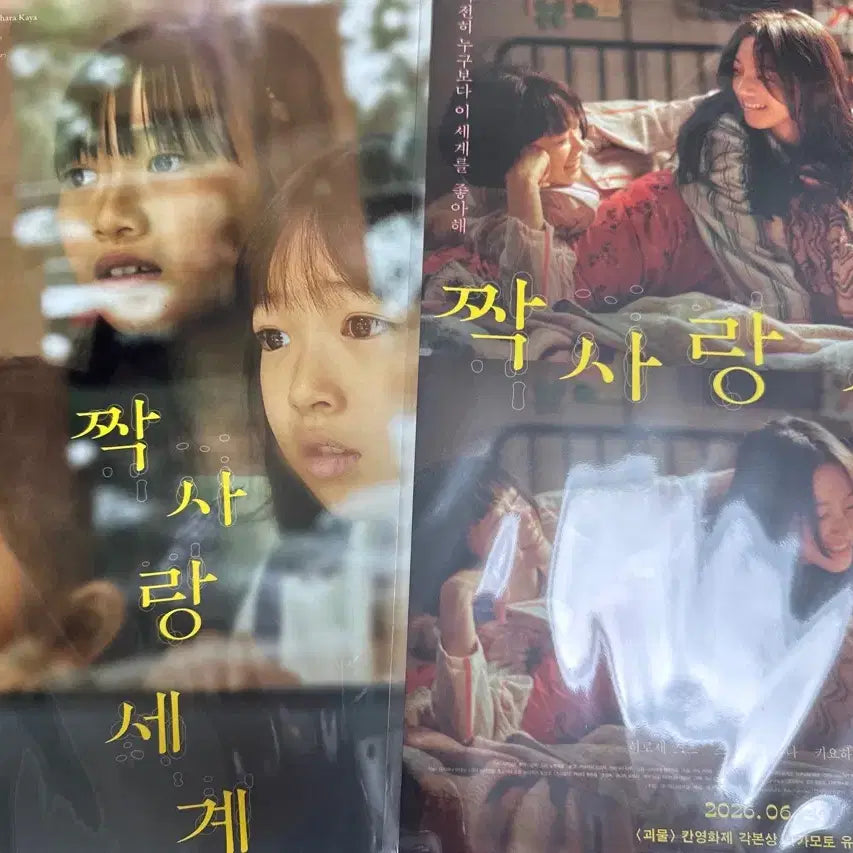 [BUNJANG] Love in Full Bloom Movie Poster Bundle Set / 영화 <짝사랑 세계> 포스터 일괄