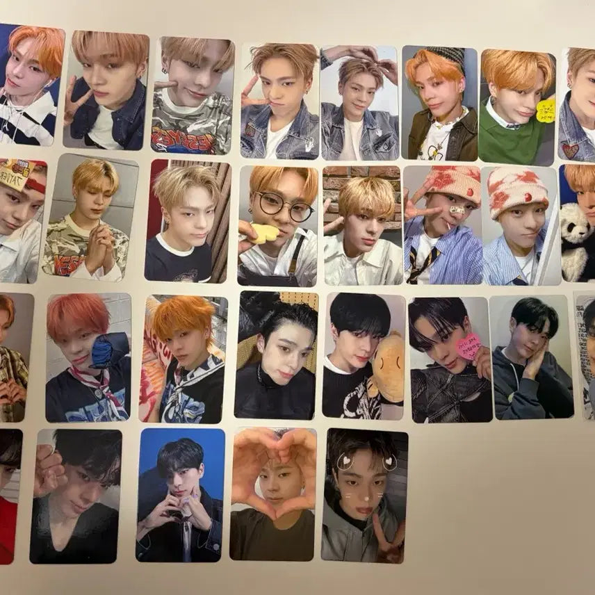 [BUNJANG] Kim Junmin Photocard Bundle Set / 김준민 포토카드 포카 일괄 양도