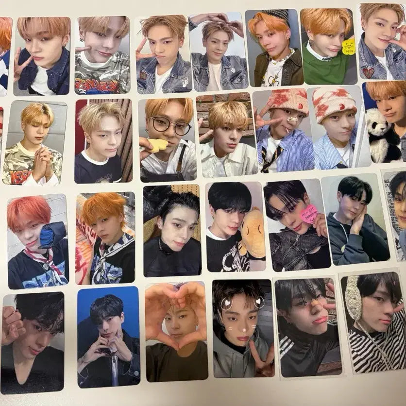 [BUNJANG] Kim Junmin Photocard Bundle Set / 김준민 포토카드 포카 일괄 양도