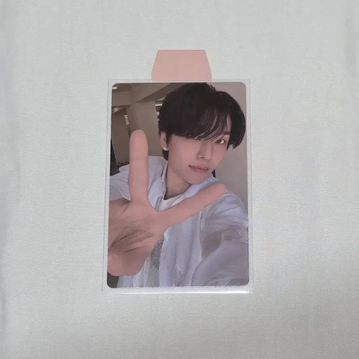 [BUNJANG] ALPHADRIVE1 OMG Thelca Photocard / 알디원 알파드라이브원 씬롱 허씬롱 오엠지 omg 트레카 포카