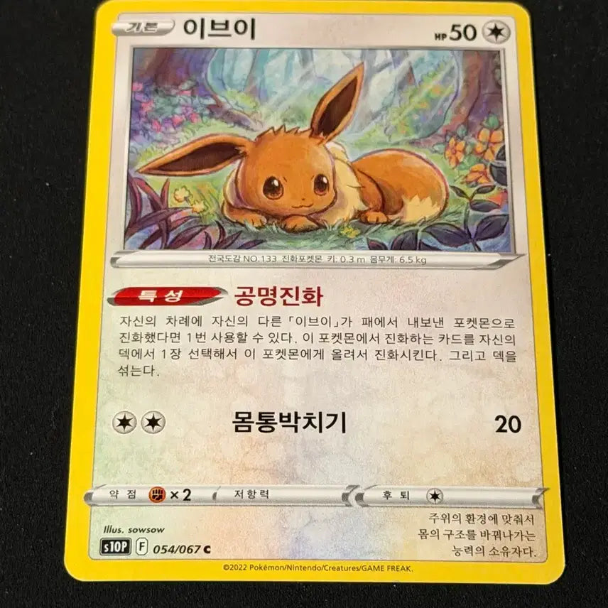 [BUNJANG] Vintage Pokémon Card Eevee / 고전 포켓몬 카드 이브이