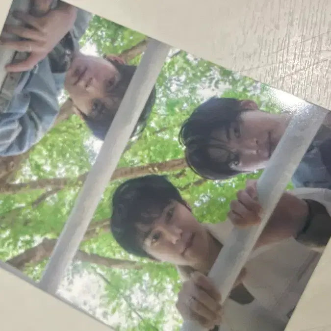 [BUNJANG] ZEROBASEONE Never Say Never Regular Album Set (Photocards Excluded) / 제로베이스원 never say never 정규 앨범 세트 포카 미포함