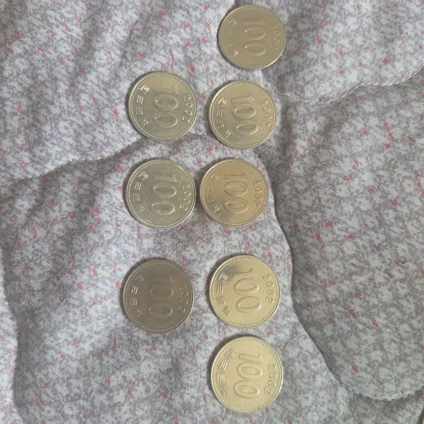 [BUNJANG] 2002 100 Won Coin Bundle (8 Coins) / 100원 동전 2002년 8개