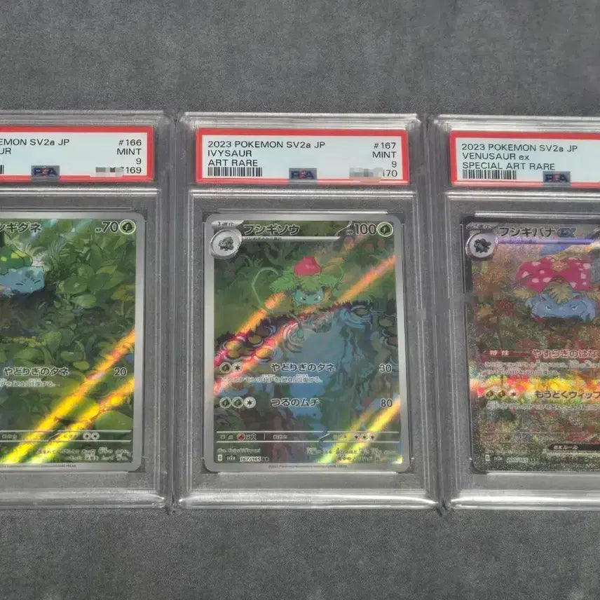 [BUNJANG] Pokemon Card 151 SV2a Japanese Venusaur, Ivysaur, Bulbasaur PSA Graded Set / 포켓몬카드 151 SV2a 일판 이상해씨/이상해풀/이상해꽃 psa