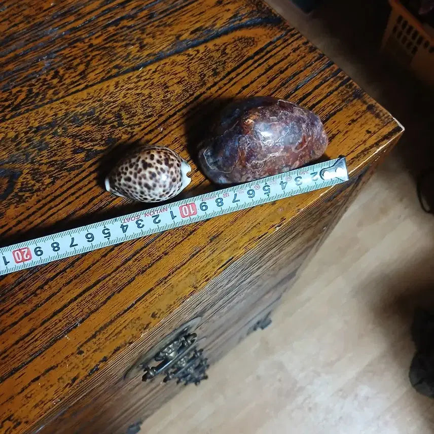 [BUNJANG] Antique Clam Norigae Pair / 오래된배각노리개대소두점