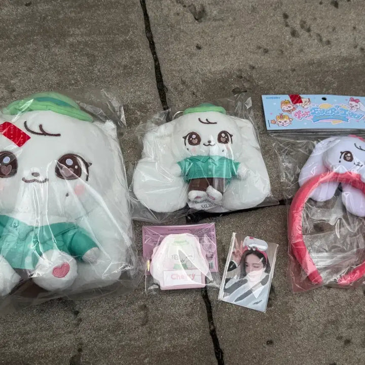[BUNJANG] IVE Everland Mini&
