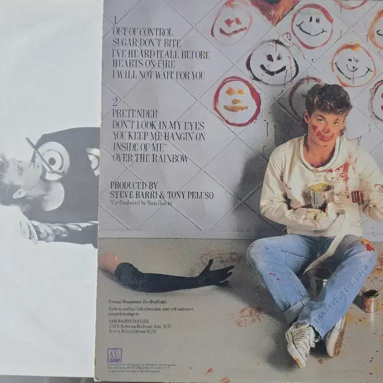 [BUNJANG] Sam Harris 1984 Debut Album "Sam Harris" LP / 샘 해리스(Sam Harris) 데뷰음반_LP USA