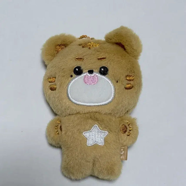 [BUNJANG] NCT 127 Mark &