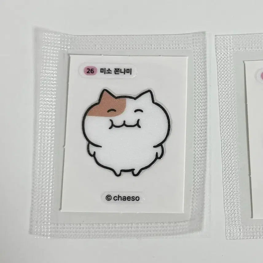 [BUNJANG] Jjonnyami Ttibusil Sticker 