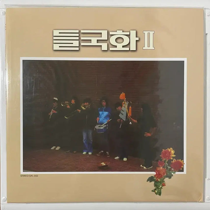 [BUNJANG] Dullkukhwa LP / 들국화 LP