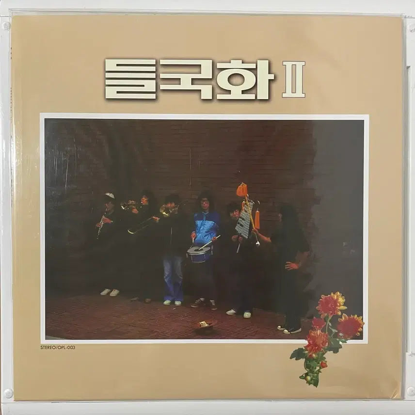 [BUNJANG] Dullkukhwa LP / 이상은 &amp; 들국화 LP