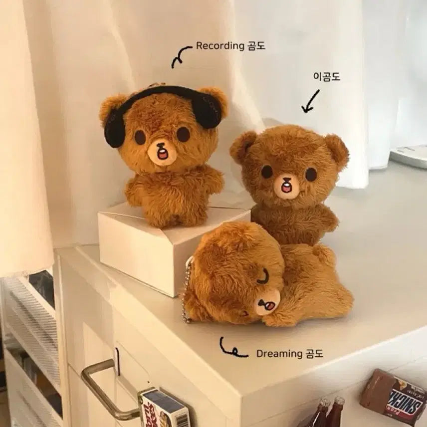 [BUNJANG] NCT Haechan Dreaming Bear Doll / NCT 해찬 드리밍 곰도 인형