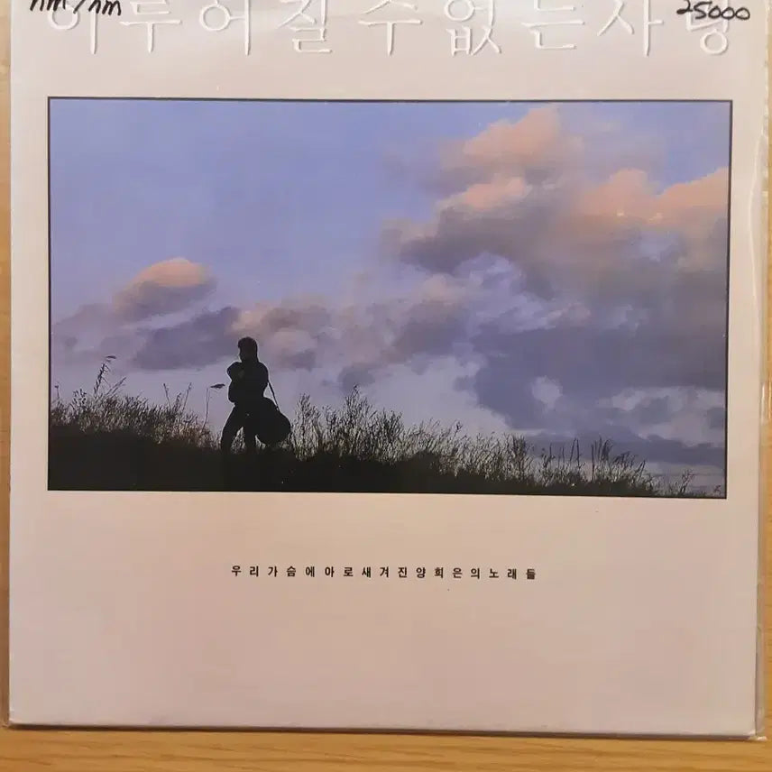 [BUNJANG] Yang Hee-eun Vinyl LP / 양희은 lp