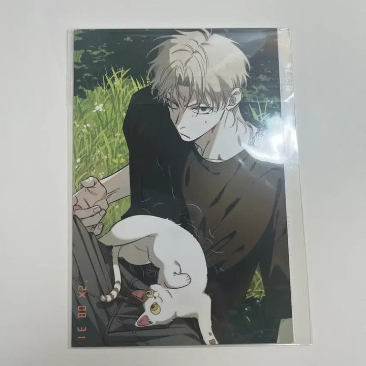 [BUNJANG] Sokkupchingu Complex 1-3 (Sealed) Limited Edition Postcard Set / 미개봉) 소꿉친구컴플렉스 1-3권 초판한정부록 엽서