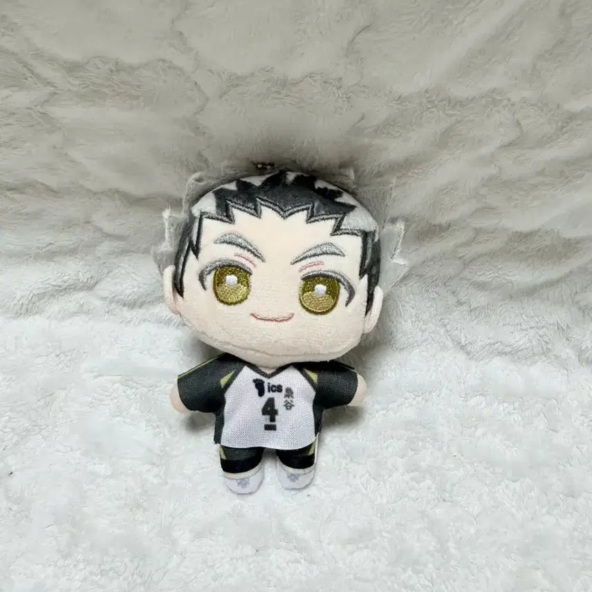 [BUNJANG] Haikyuu!! Bokuto Plush Doll / 하이큐 보쿠토 누이 인형