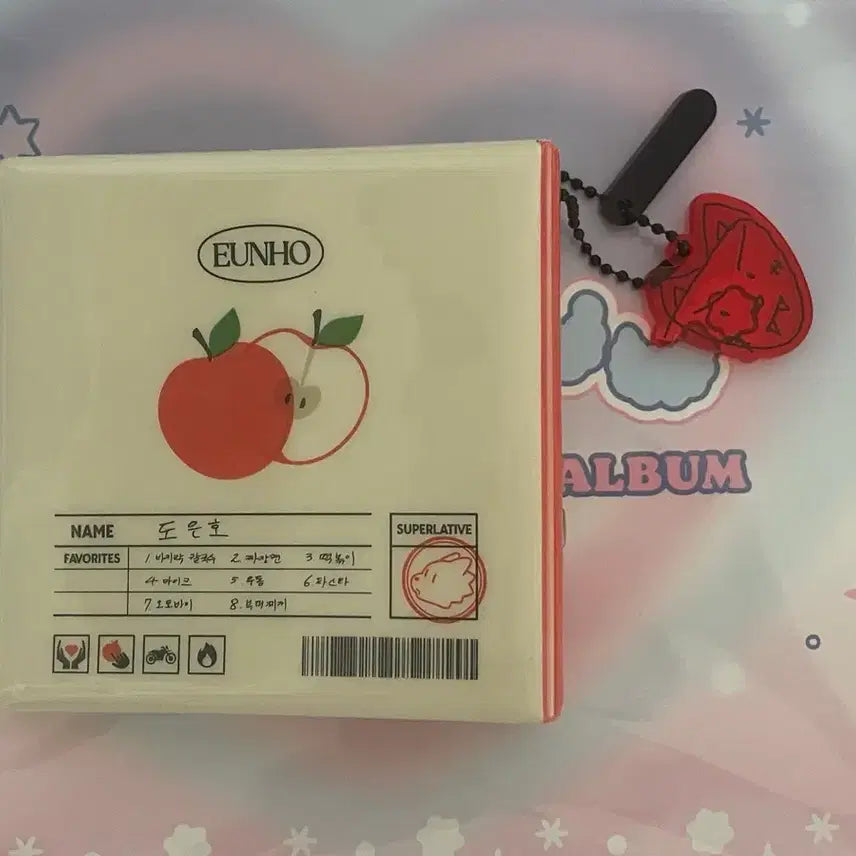 [BUNJANG] PlaYve 2024 Birthday Kit Eunho Binder / 플레이브 2024 생일 키트 바인더, 키링 은호