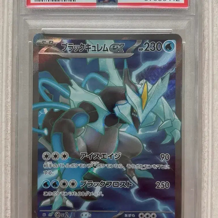[BUNJANG] Pokemon Black Kyurem PSA 10 Japanese / 포켓몬 블랙큐레무 PSA10(일판)