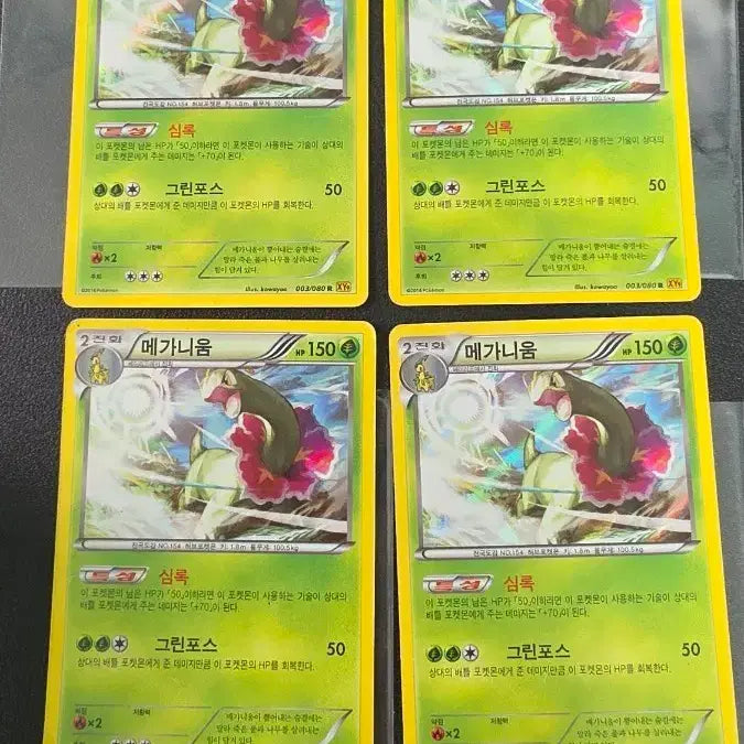 [BUNJANG] Pokemon Card Meganium R XY9 003 / 포켓몬 카드 메가니움 R xy9 003