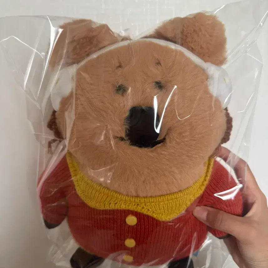 [BUNJANG] DainyTainy Daisy Plush Doll / 다이노탱 데이지 인헝