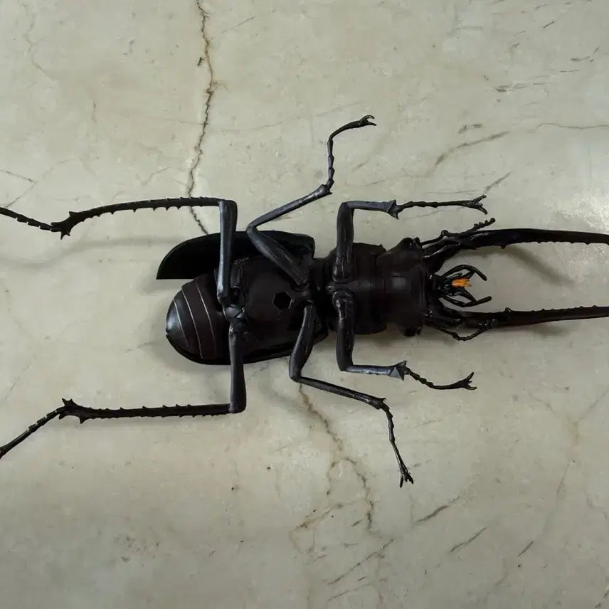 [BUNJANG] Bandai Great Living Creatures Encyclopedia: Stag Beetle / 반다이 대생물도감: 사슴벌레
