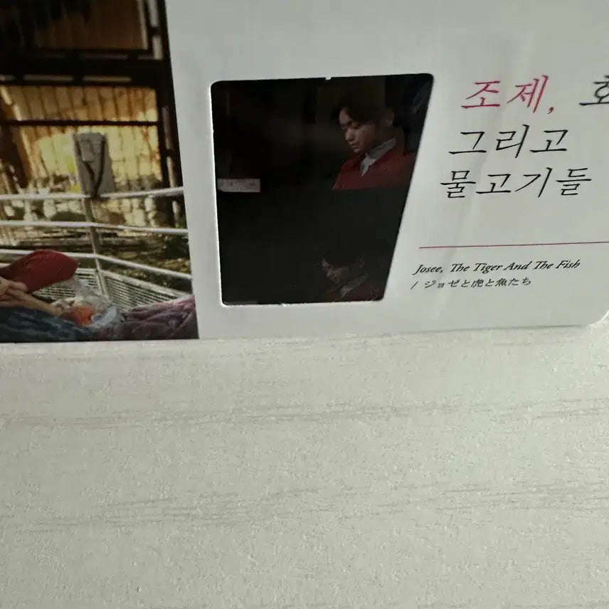 [BUNJANG] Josee, the Tiger and the Fish Film Cut CGV Merchandise / 영화 조제, 호랑이 그리고 물고기들 필름컷 CGV 굿즈