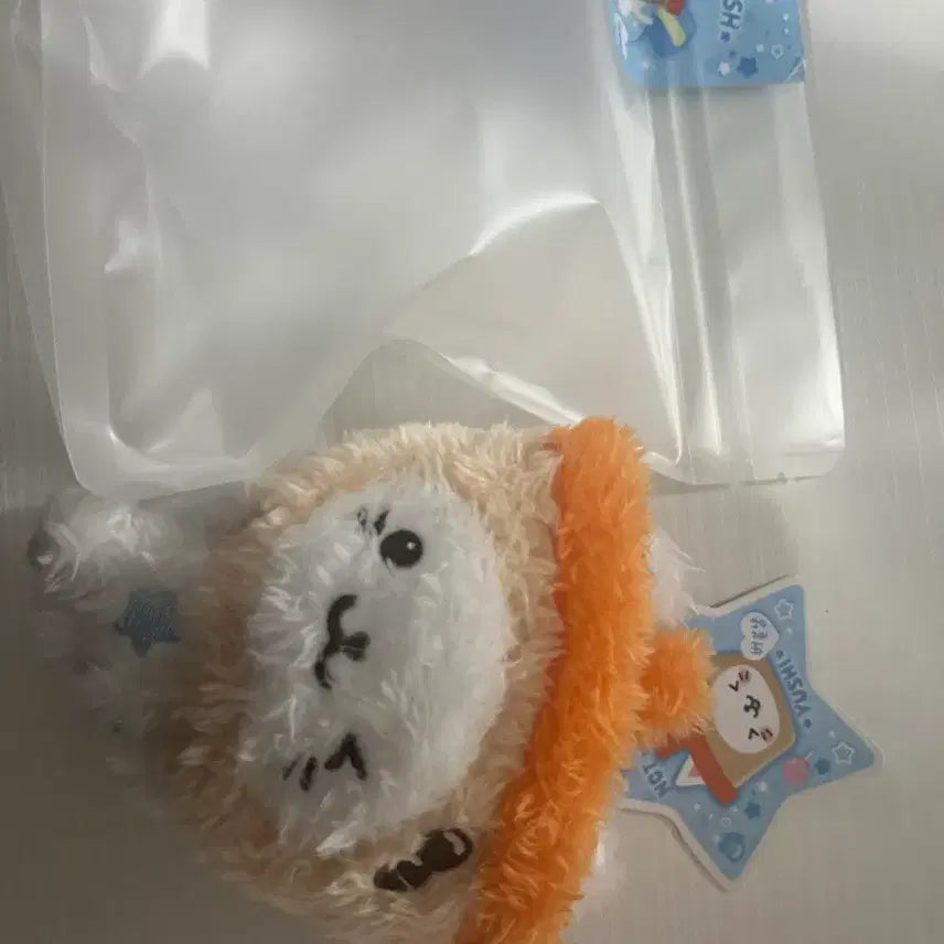 [BUNJANG] Bubble Cat Pocket Wish Doll / 버블냥 포켓 위시돌 (택 ㅇ)