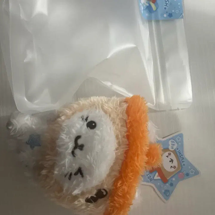 [BUNJANG] Bubble Cat Pocket Wish Doll / 버블냥 포켓 위시돌 (택 ㅇ)