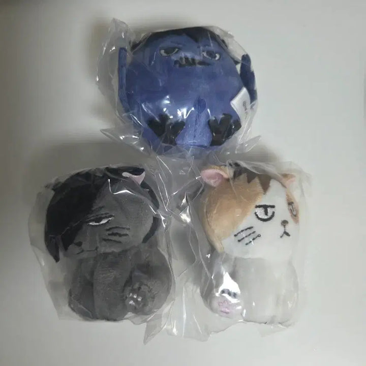 [BUNJANG] Haikyuu!! Gacha Bundle Set / 하이큐 가챠 일괄
